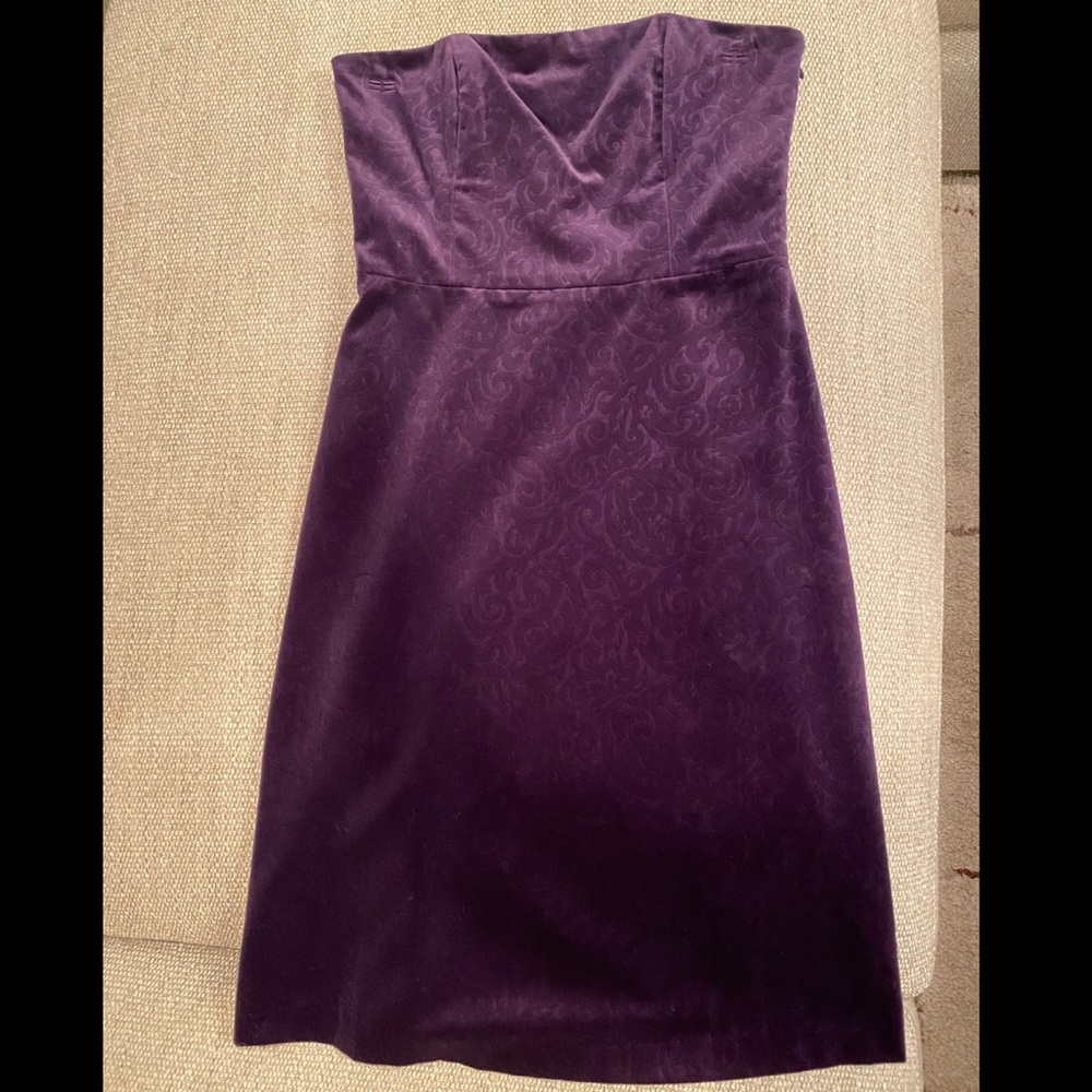 Purple velvet Tibi dress (2005)